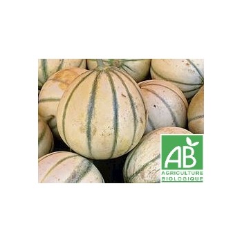 Melon , Ã  la piÃ¨ce