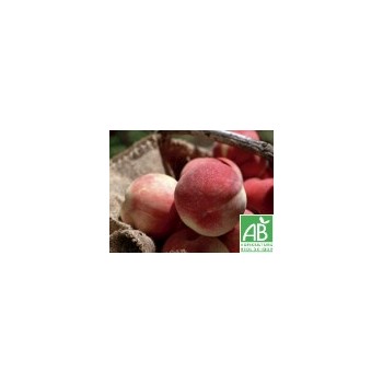 Pêche blanche de vigne  ,  au 500Gr