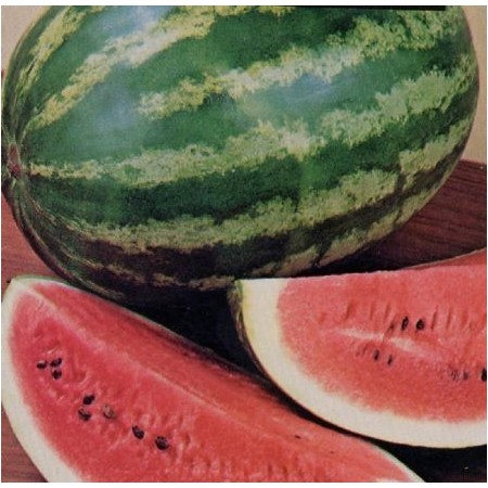 Pastèque  , au Kg