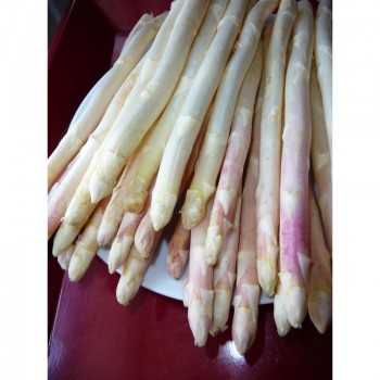 Asperges Violettes , en Botte
