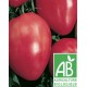 Tomate Coeur de Boeuf , au Kg