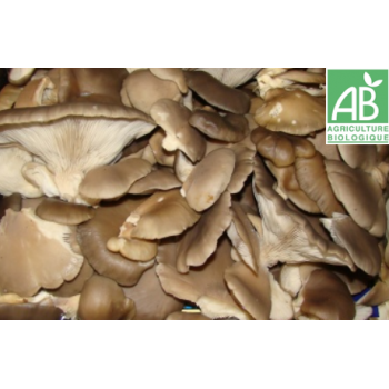 Pleurote , au 250Gr