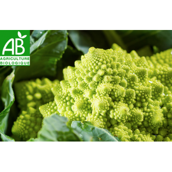 Chou Romanesco , à la pièce