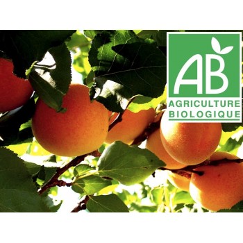 Abricot , au 500Gr