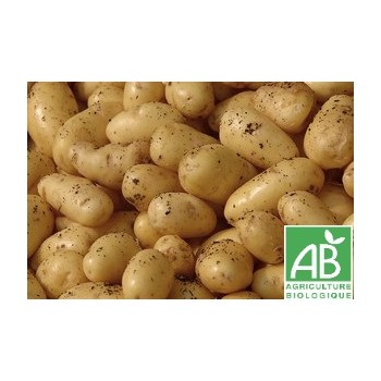 PdT Gourmandine , au Kg