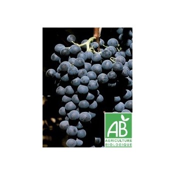 Raisin Muscat , au 500 Gr
