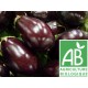 Aubergine , au Kg