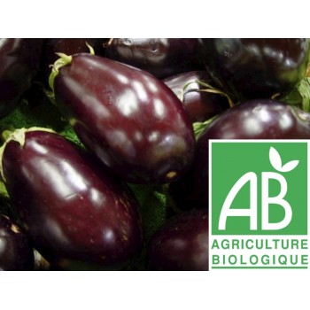 Aubergine , au 500Gr