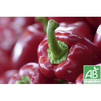 Poivron rouge  , au 500Gr